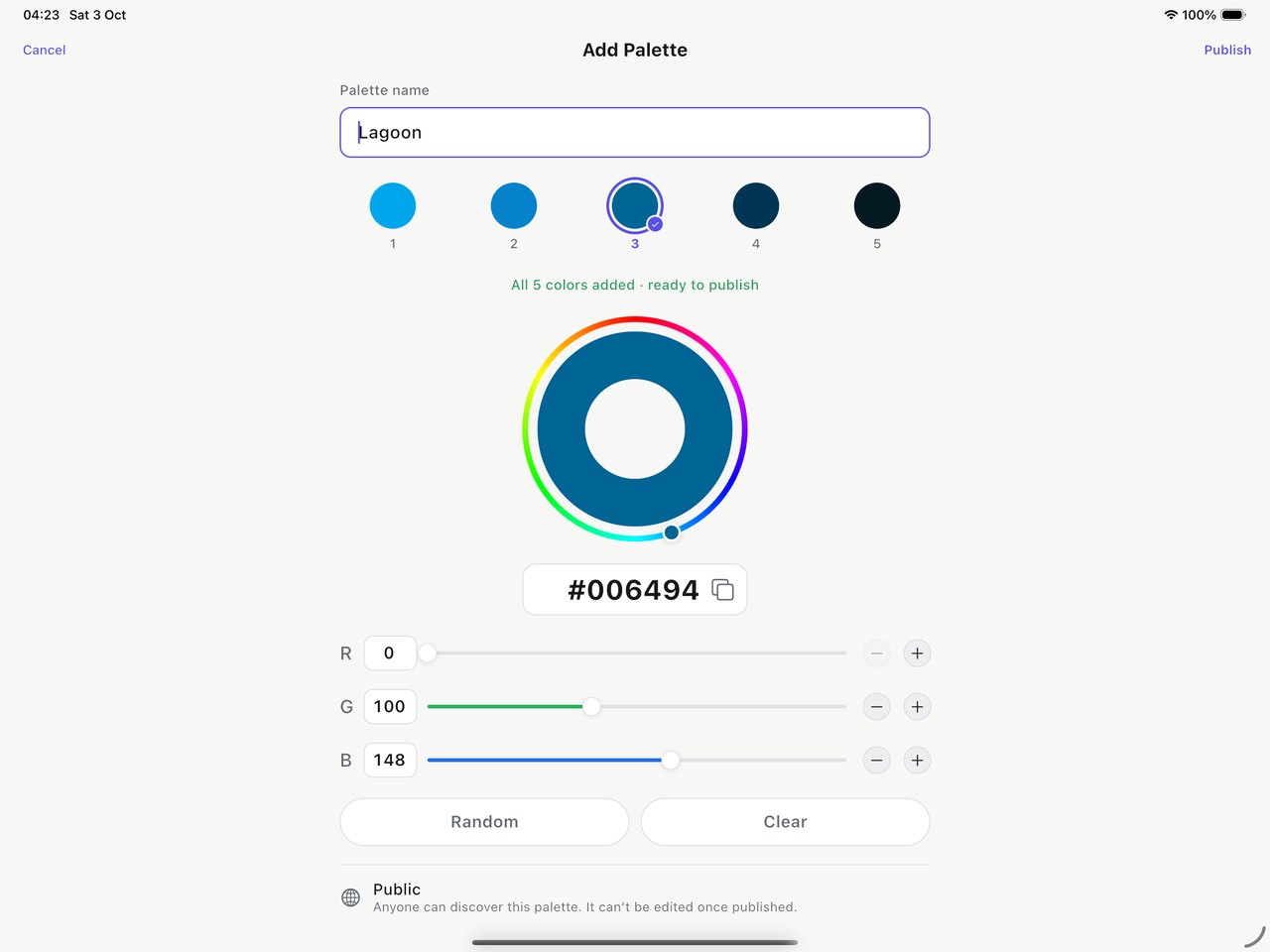 Hex Color Codes on iPad — Add Palette in the tablet layout, with the Public note shown below the editor